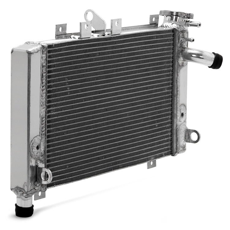 rinteri  ZX4 Radiator upgrade options. | Kawasaki ZX-4R Forum