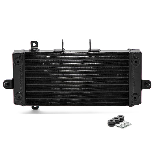 Black Aluminum Radiator For Suzuki GSX250R V-Strom 250 Inazuma 250 2012-2021 17710-48HA0