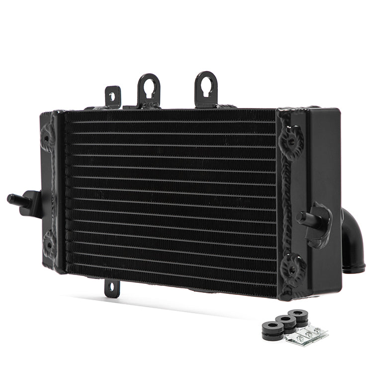 Black Aluminum Radiator For Suzuki GSX250R V-Strom 250 Inazuma 250 2012-2021 17710-48HA0