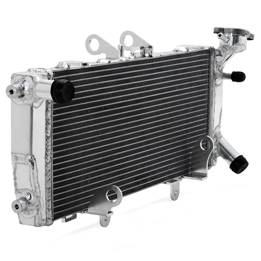 For BMW R1200R 2014 2016-2018 / R1200RS 2015-2018 / R1250R R1250RS 2018-2025 Aluminum Engine cooling Radiator