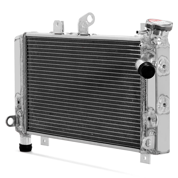 Aluminum Water Cooling Radiator for BMW S1000RR 2009-2018 / HP4 RACE 2018 17118546822