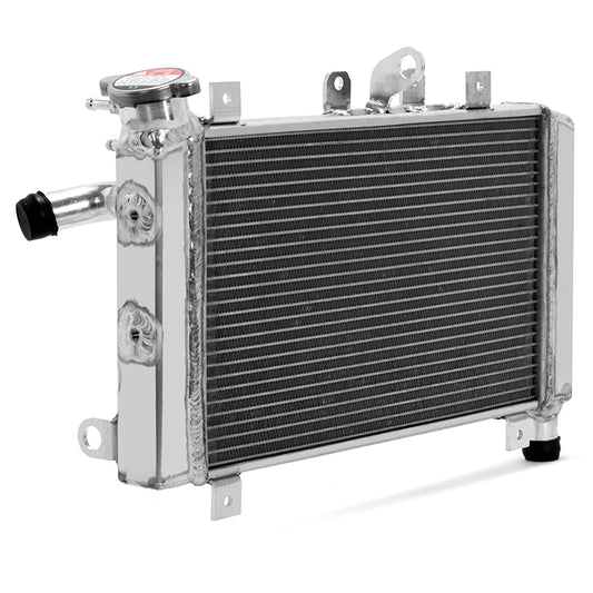 Aluminum Water Cooling Radiator for BMW S1000RR 2009-2018 / HP4 RACE 2018 17118546822