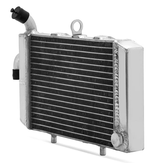 For Yamaha XMAX 125 2018-2020 / XMAX 250 2019 2022 / Tricity 300 2020-2023 / XMAX 300 2018-2024 Aluminum Engine Water Cooler Radiator