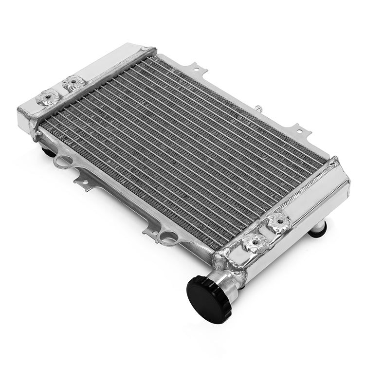 Aluminum Motorcycle Engine Cooler Radiator for BMW G310GS 2018-2024 / G310R 2017-2024