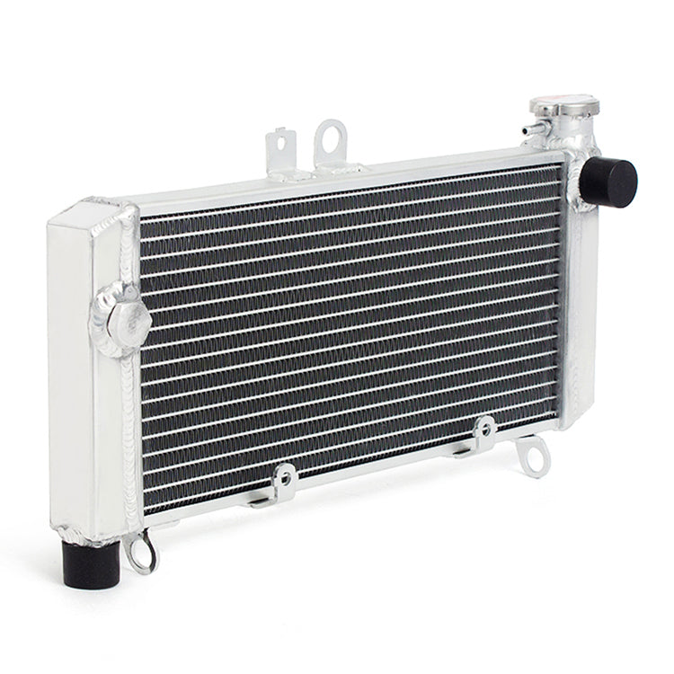 Abs Radiator Aluminum Engine Cooler Radiator for Honda CBF600S / CBF600SA ABS 2004 ...