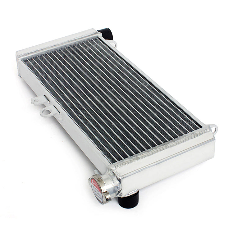 Abs Radiator Aluminum Engine Cooler Radiator for Honda CBF600S / CBF600SA ABS 2004 ...