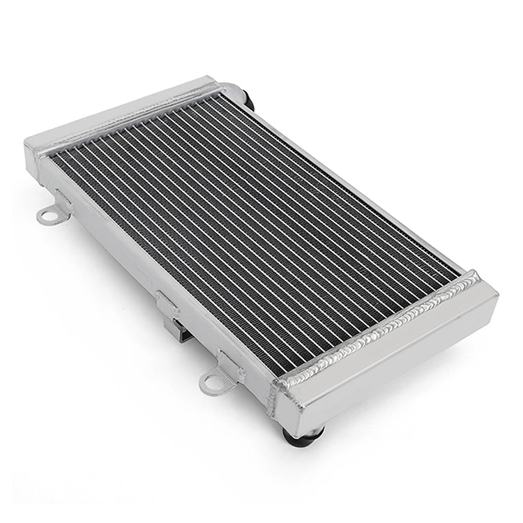 Aluminum Motorcycle Radiator for Honda CBF1000 2006-2010